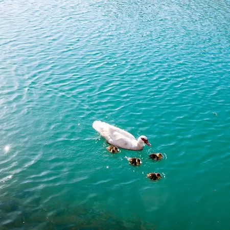 Vitality Mariante - Free Kajaks, Sauna Διαμέρισμα